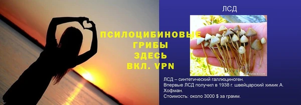 ПСИЛОЦИБИНОВЫЕ ГРИБЫ Абинск