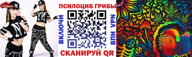 купить наркотики цена Фёдоровский Псилоцибиновые грибы Psilocybe